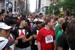Bay St. Rat Race