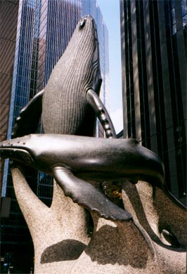 2 whales