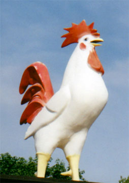 jazzy chicken