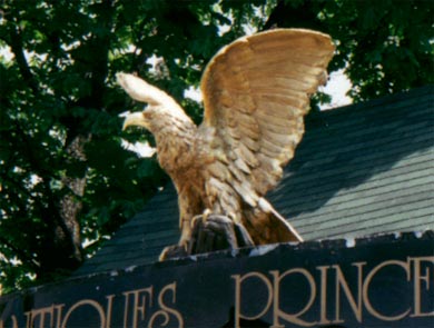 golden eagle