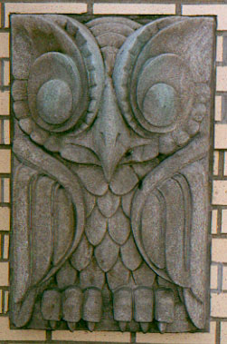 library owl