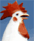 jazzy chicken