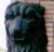 lion griffin