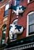 split cow